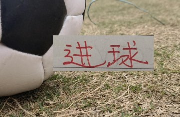 天博体育登录入口-中超射手榜 申花终于有人并列射手第一 卫冕冠军射手要加油了